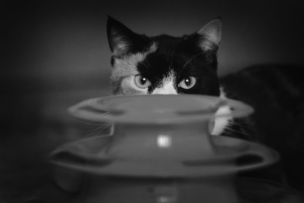Photograph by Наталья Гнатюк