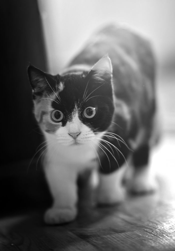 Photograph by Наталья Гнатюк