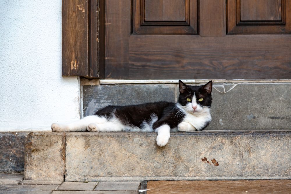 Photograph by Александр Ермоленко