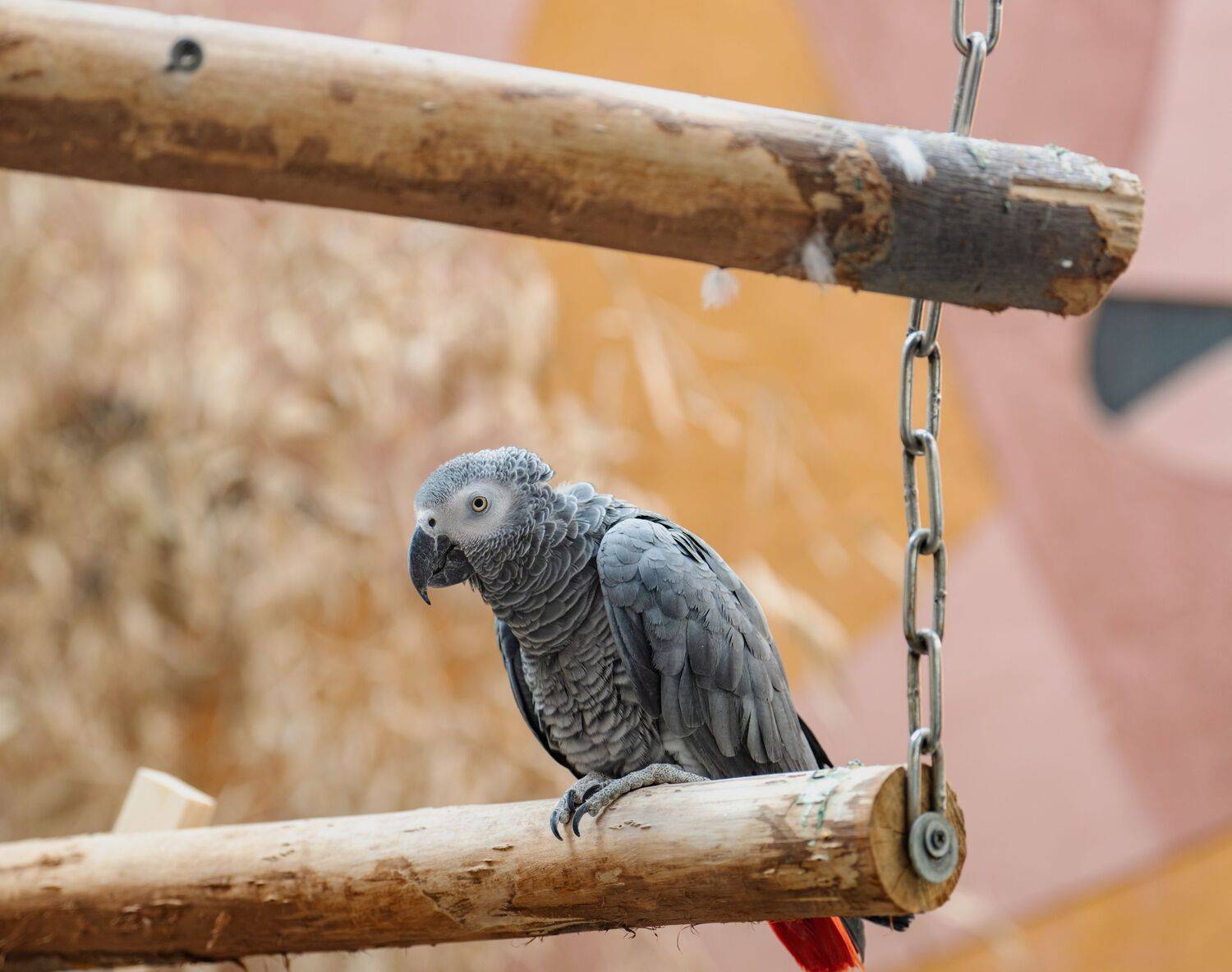 Photo #12205889