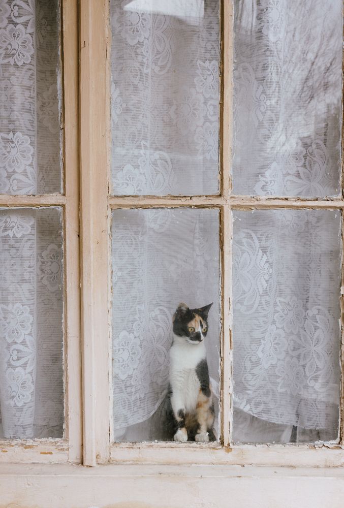 Photograph by Begadze Giorgi