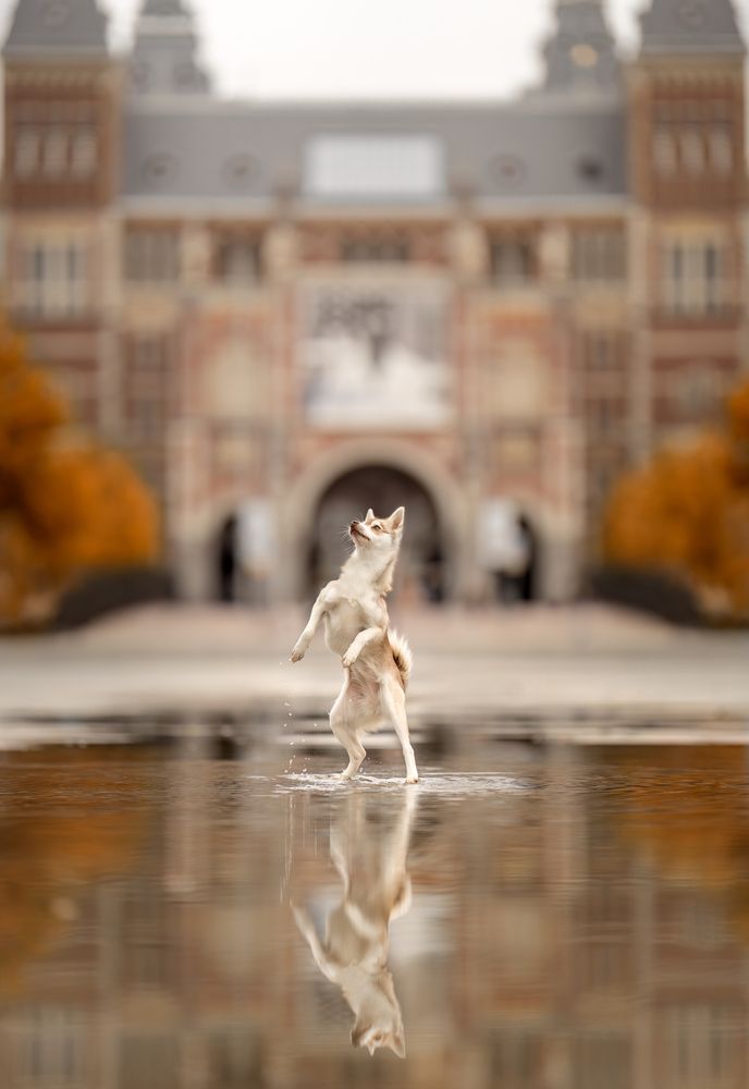 Photograph by Yong Lei van Barlingen