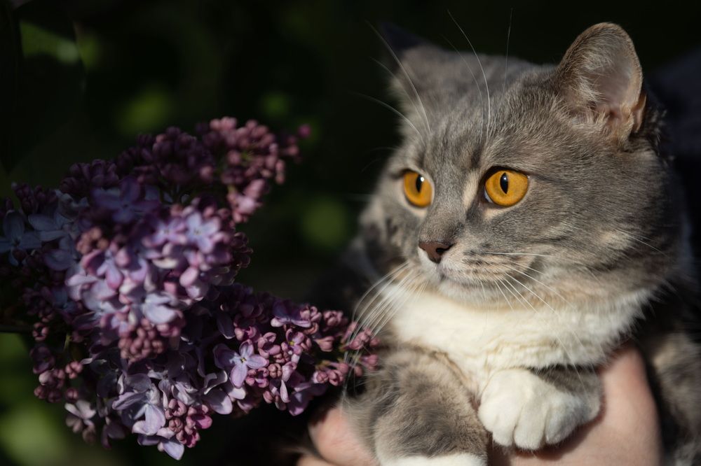 Photograph by Сивакова Виктория