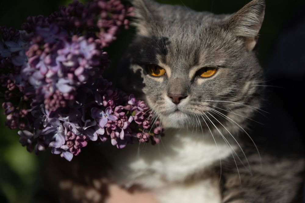 Photograph by Сивакова Виктория