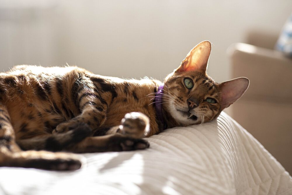 Photograph by Максим Мураков