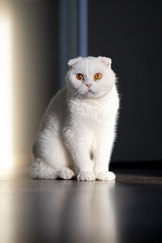 Photograph by Максим Мураков