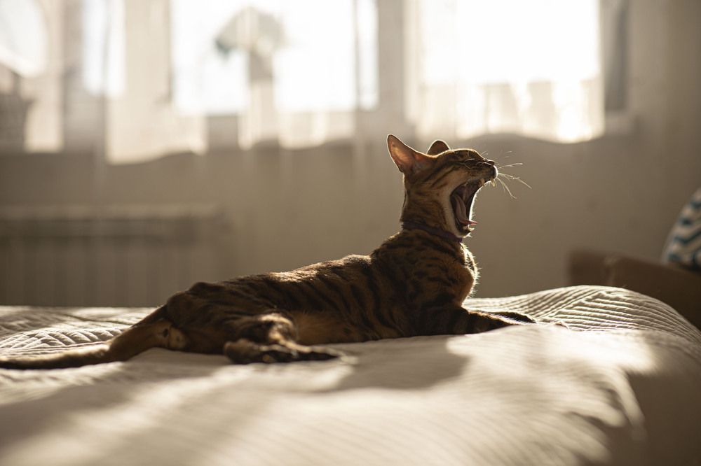 Photograph by Максим Мураков