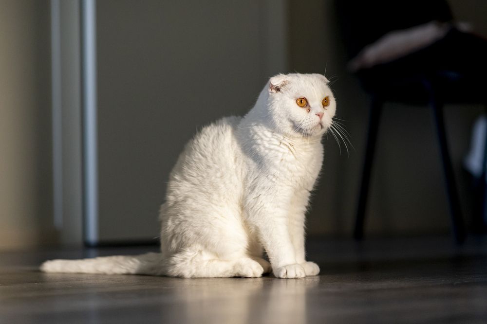 Photograph by Максим Мураков