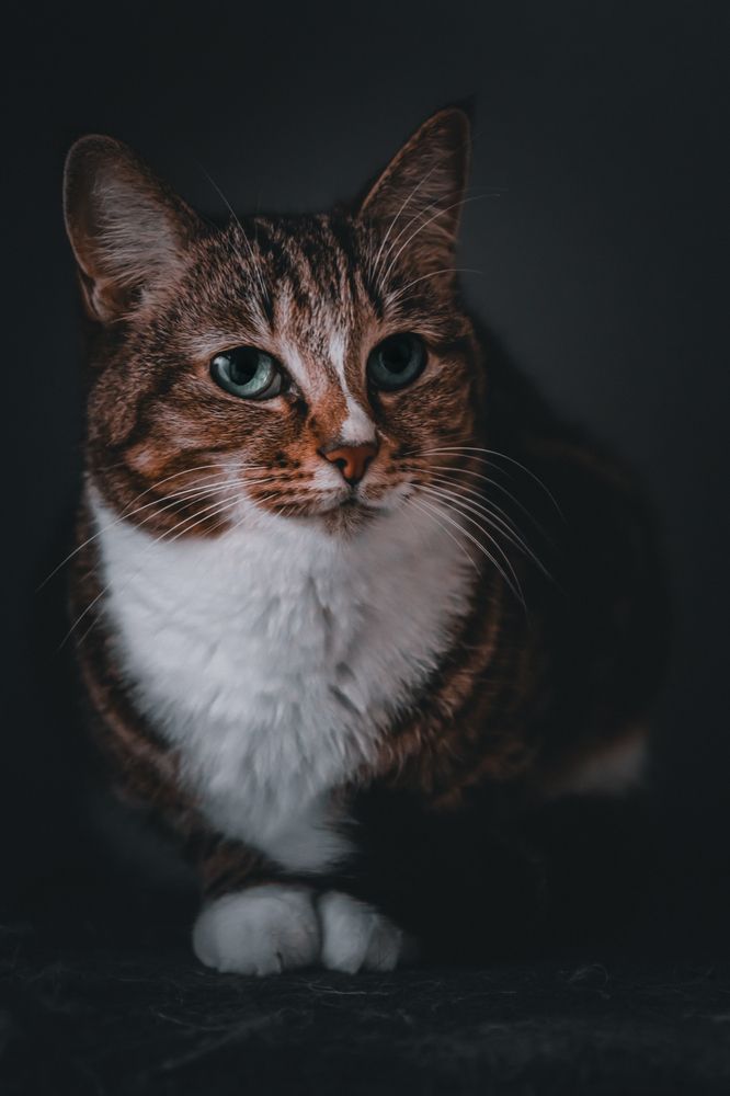 Photograph by Данил Шукан