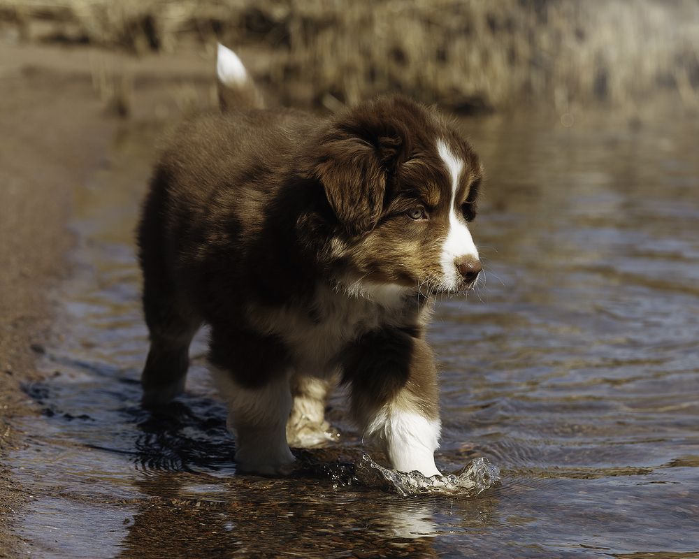 Photograph by Anna Sindikayeva