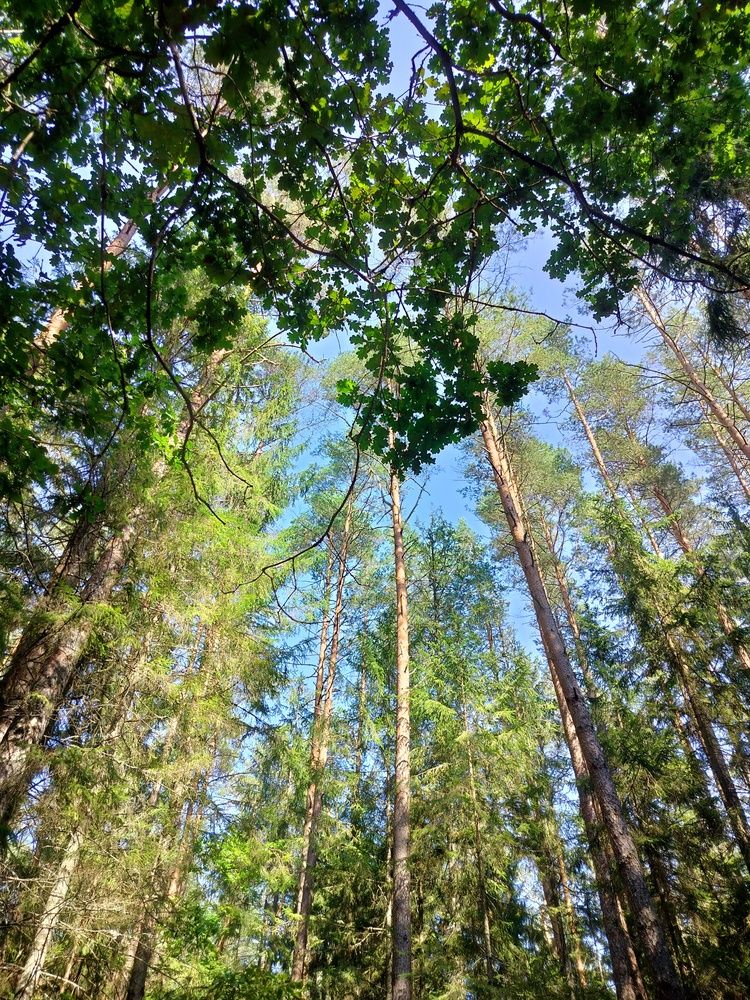 Фотография автора Наталья Драгун