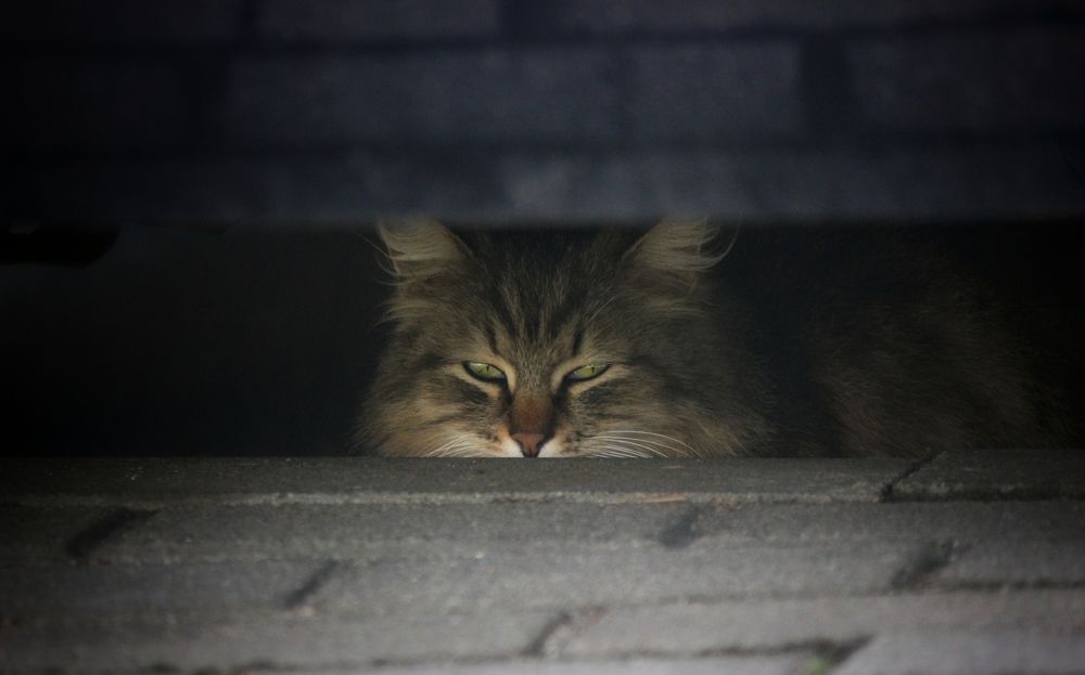 Photograph by Татьяна Сычёва