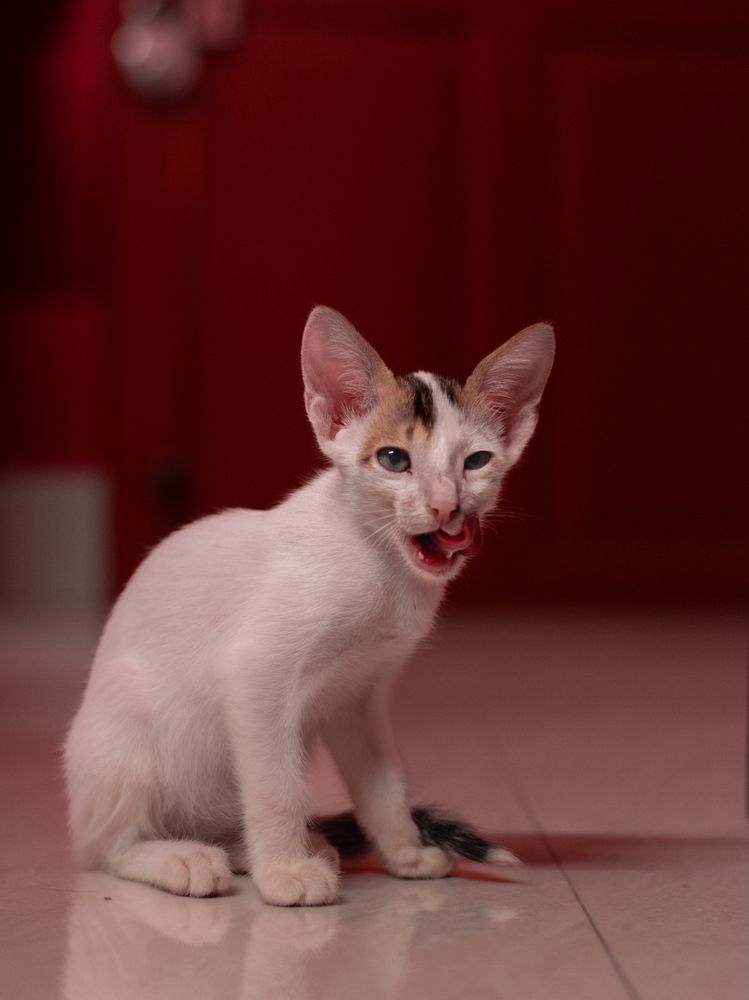 Photograph by SUHAS MANDAL