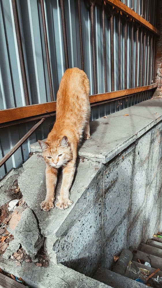 Photograph by Дарья