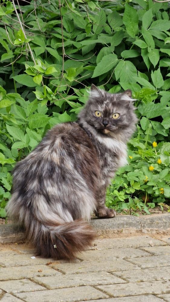 Фотография автора Ольга Быстрова