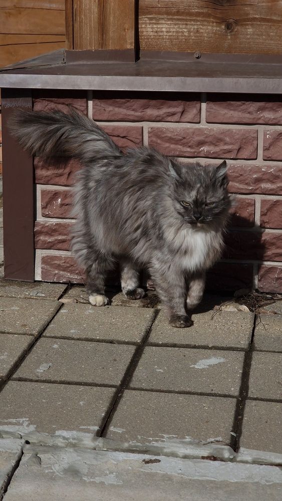 Фотография автора Ольга Быстрова