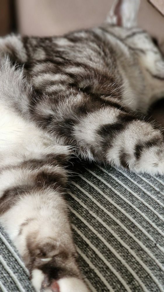 Фотография автора Ольга Быстрова