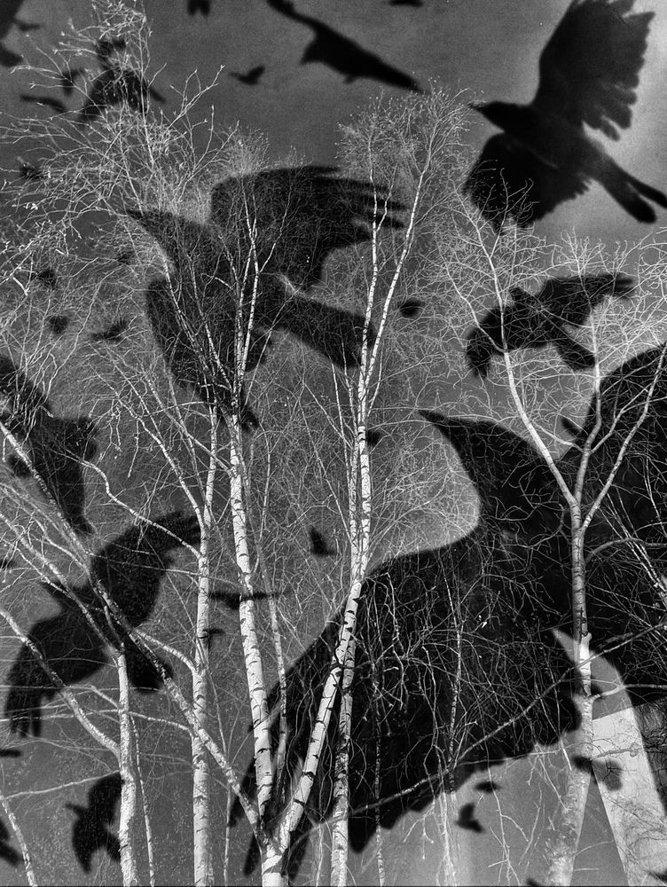 Photograph by Татьяна Егорова