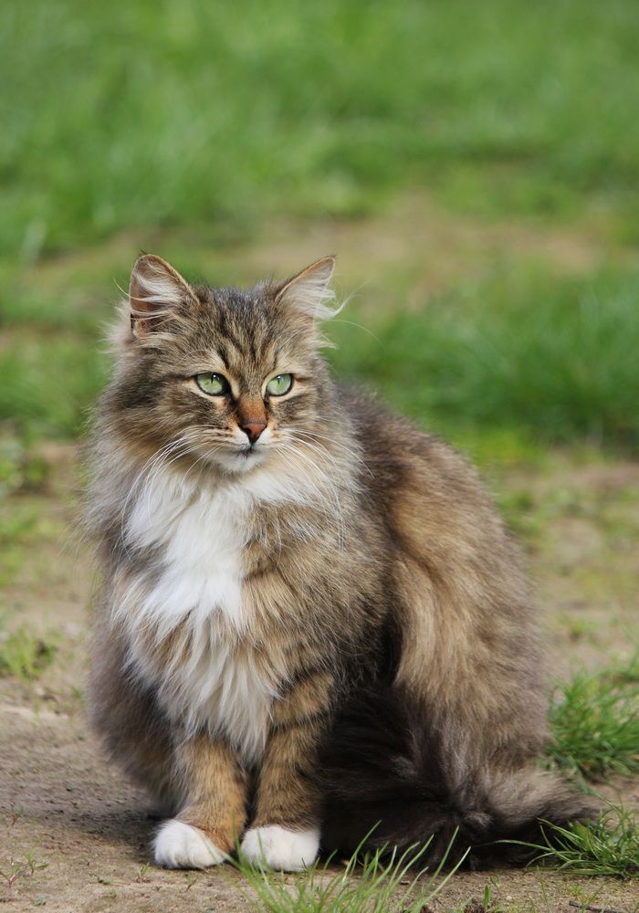 Photograph by Татьяна Сычёва