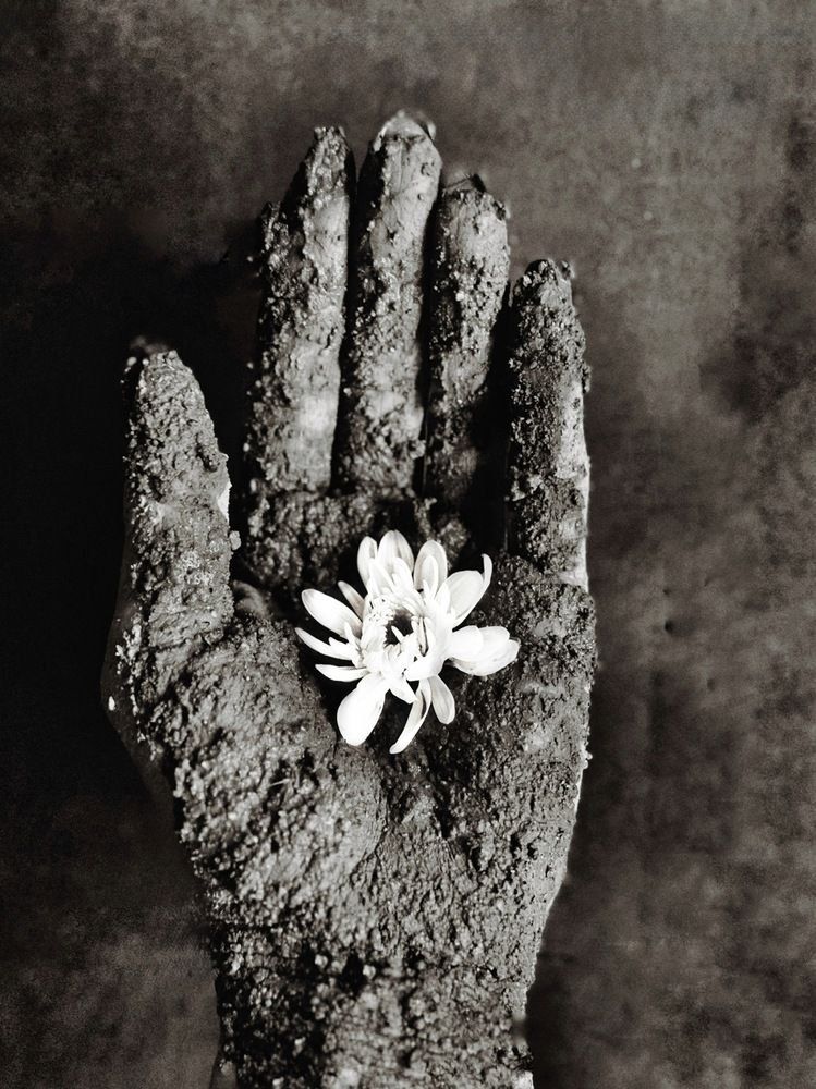 Photograph by Жанна Колесникова