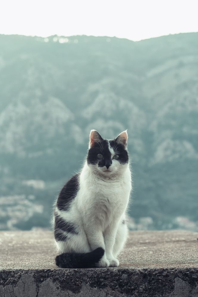 Photograph by Lana Soldatova