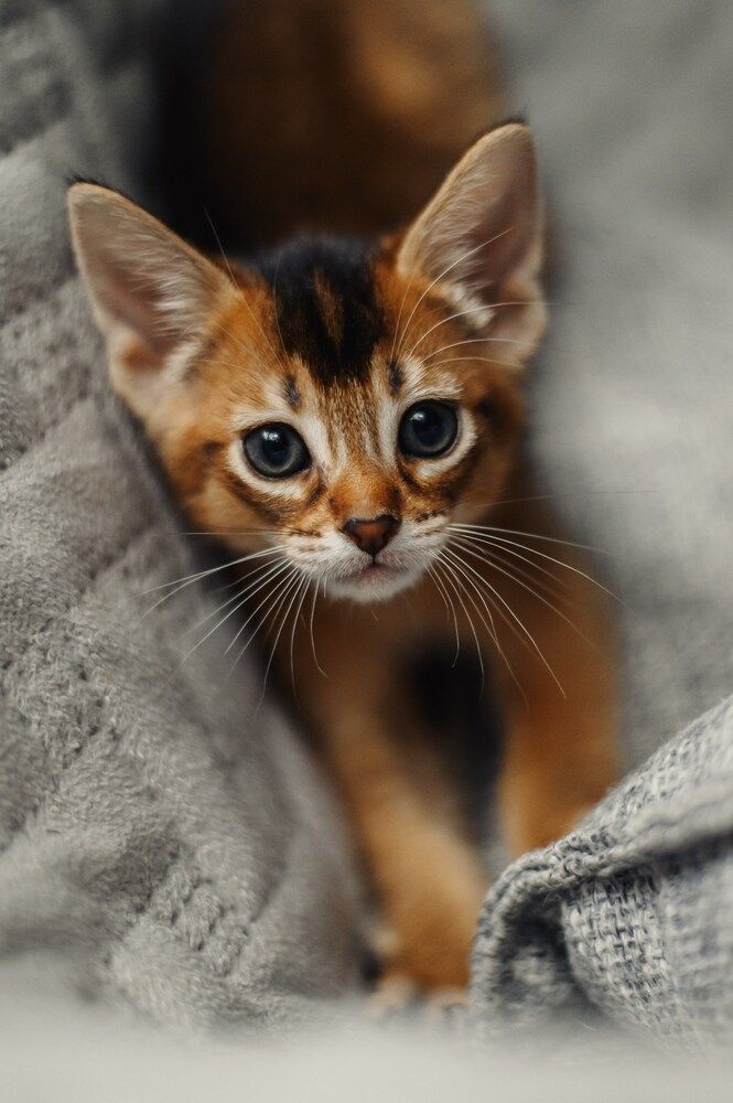 Фотография автора Anastasia Struna