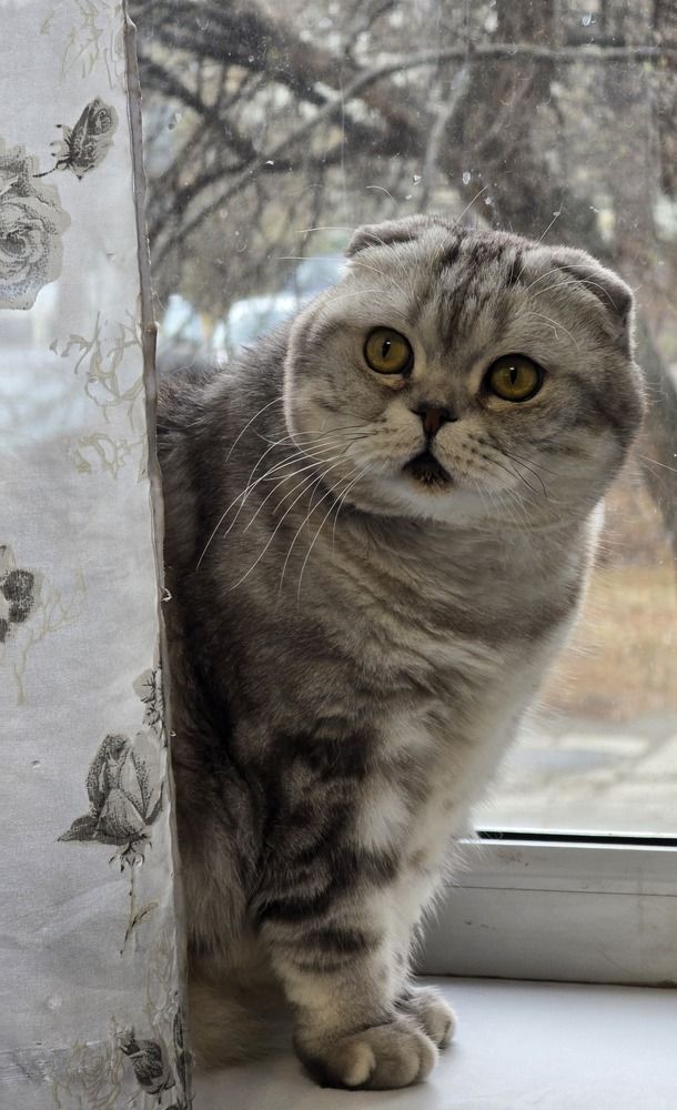 Photograph by Елена Ромашкина