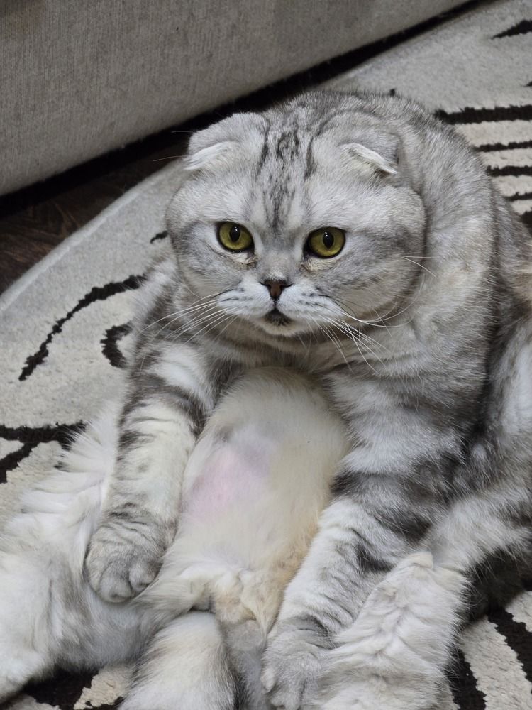 Photograph by Елена Ромашкина