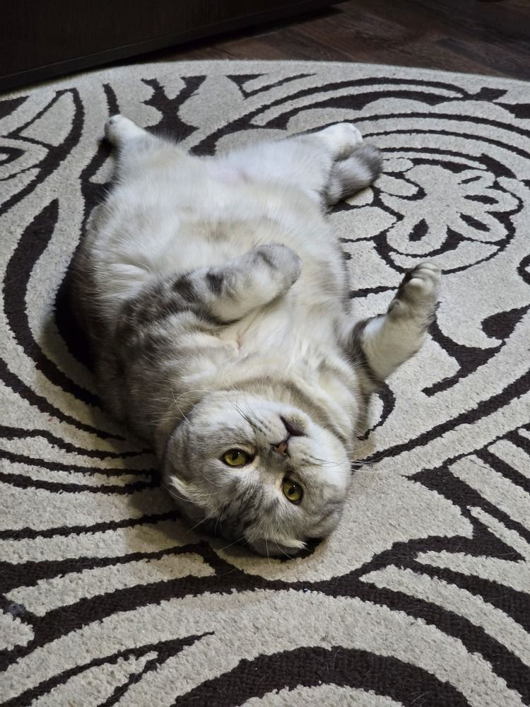 Photograph by Елена Ромашкина