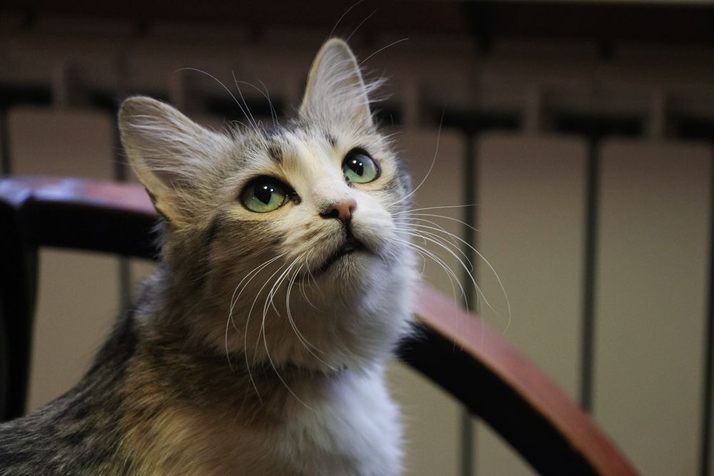 Photograph by Рыков Андрей