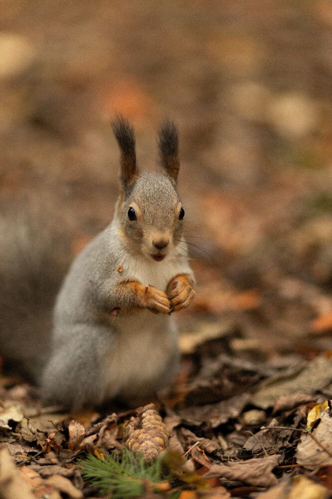 Photograph by Ирина Легкая