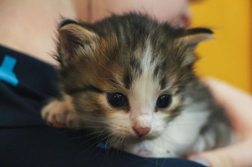 Photograph by Рыков Андрей