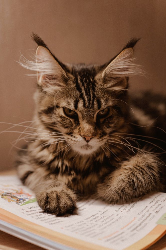 Photograph by Елена Воронина