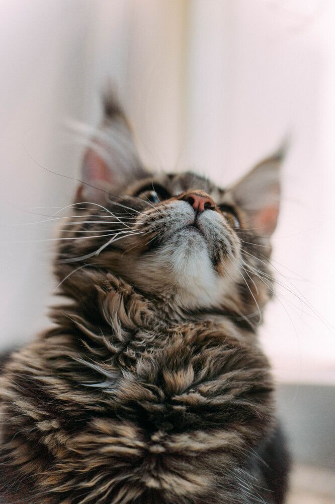 Photograph by Елена Воронина