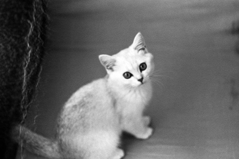 Photograph by Игорь Мирный