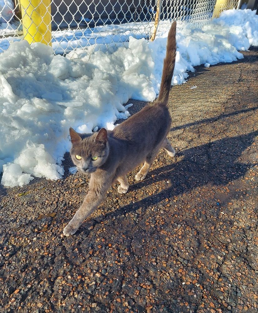 Фотография автора Adriana Rocha