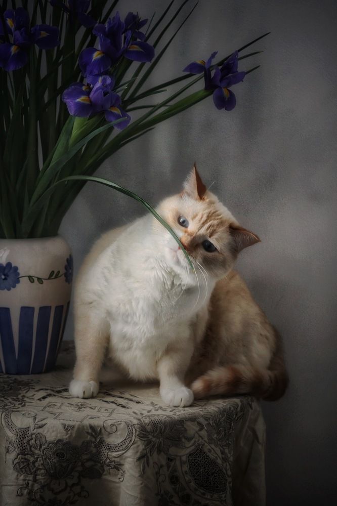 Photograph by Кира Бахвалова