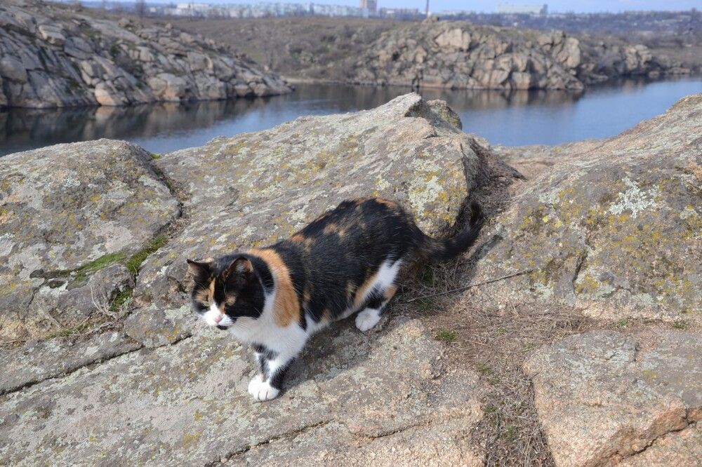 Фотография автора Евгений