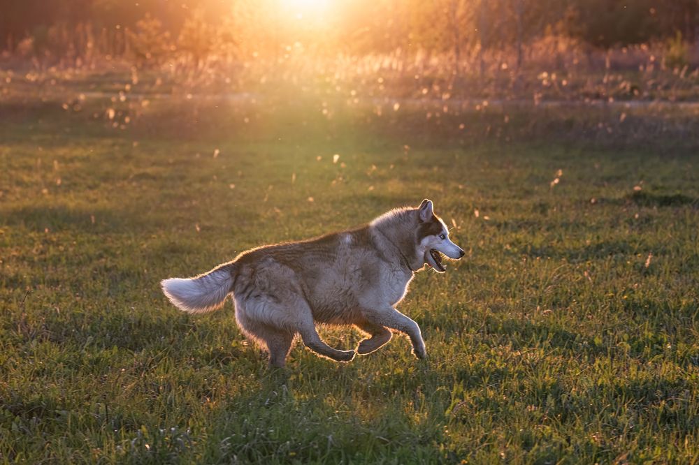 Photograph by Мария Ирешева