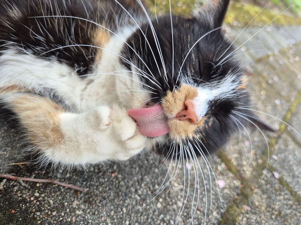 Photograph by Ирина Калюжная