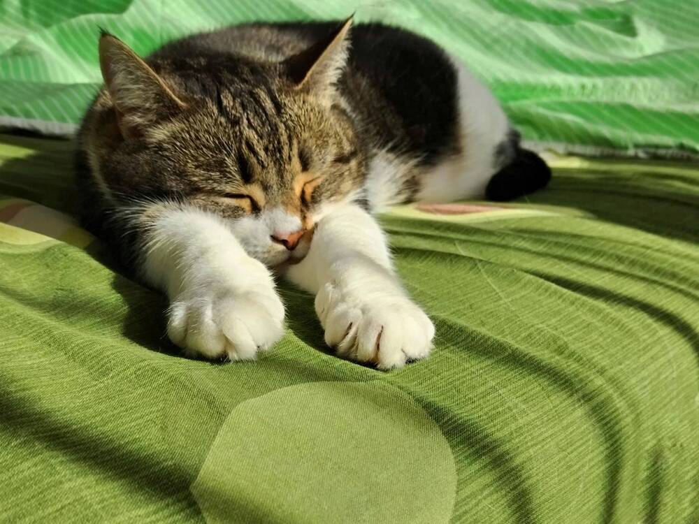 Photograph by Ирина