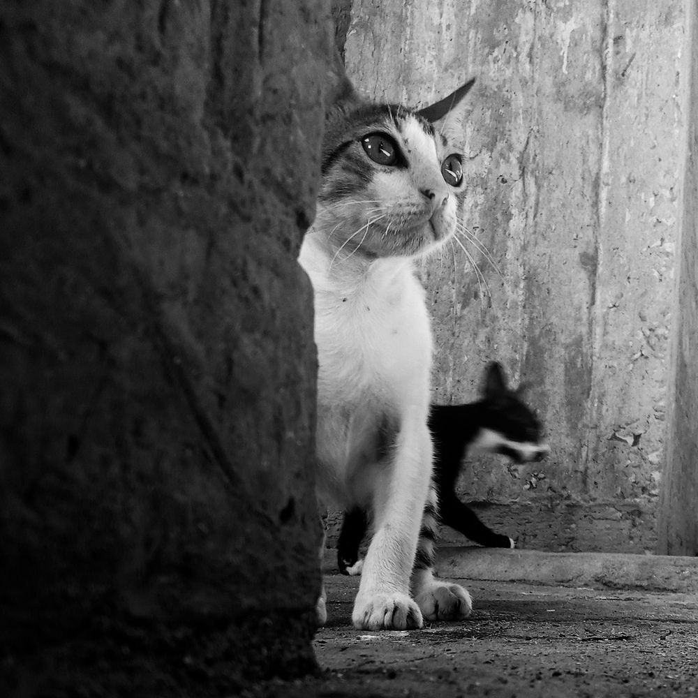 Photograph by على اشرف محمد عبد الجواد شعبان