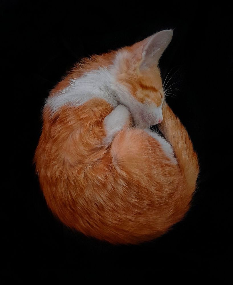 Photograph by Roberto Hagemann