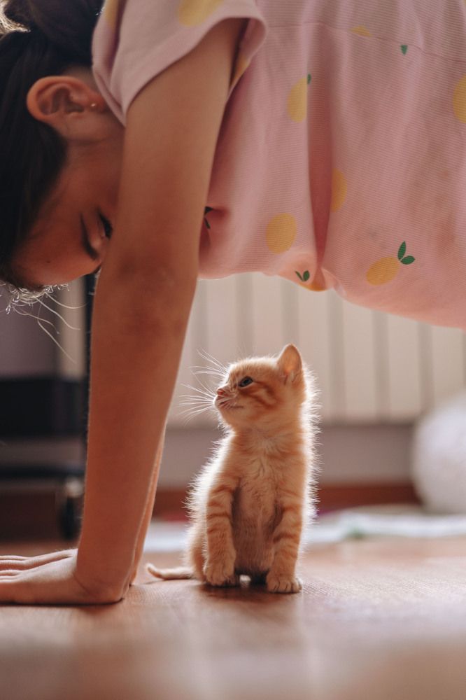 Photograph by Alma González