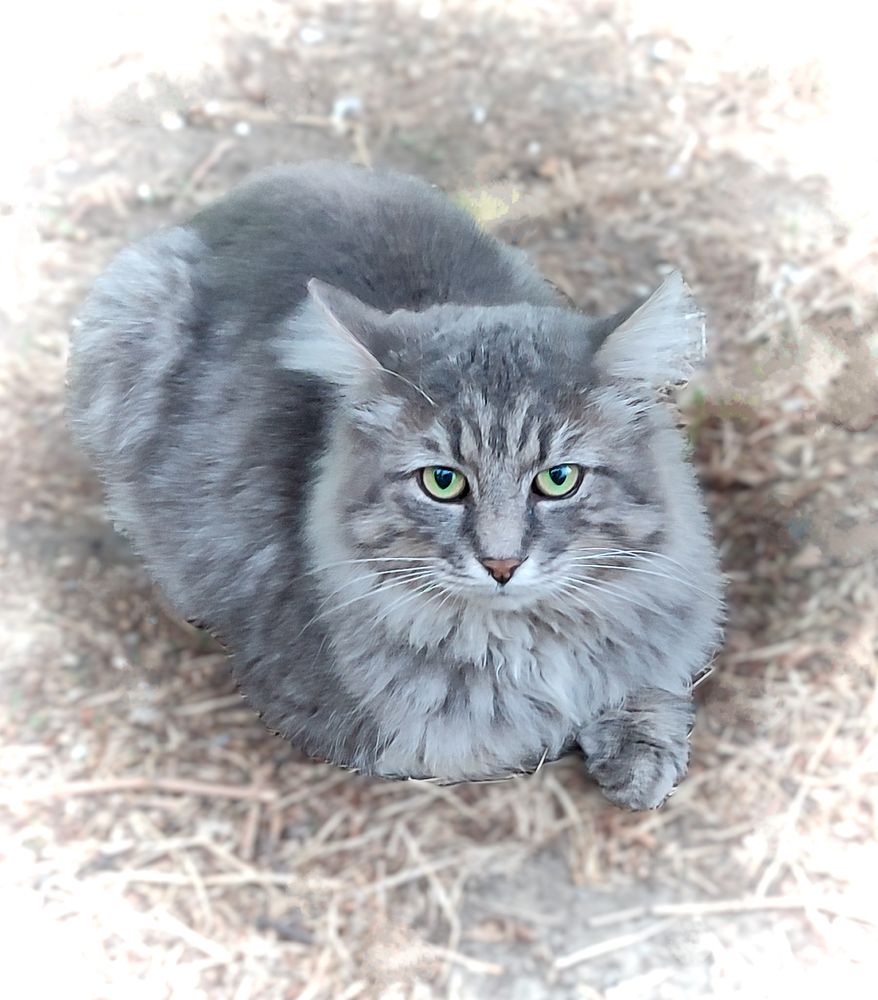 Photograph by Кобелева Евгения