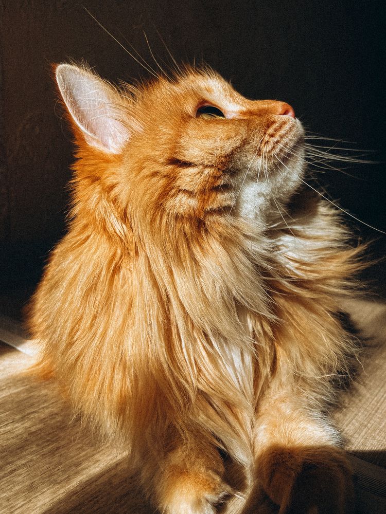 Photograph by Марина Полухина