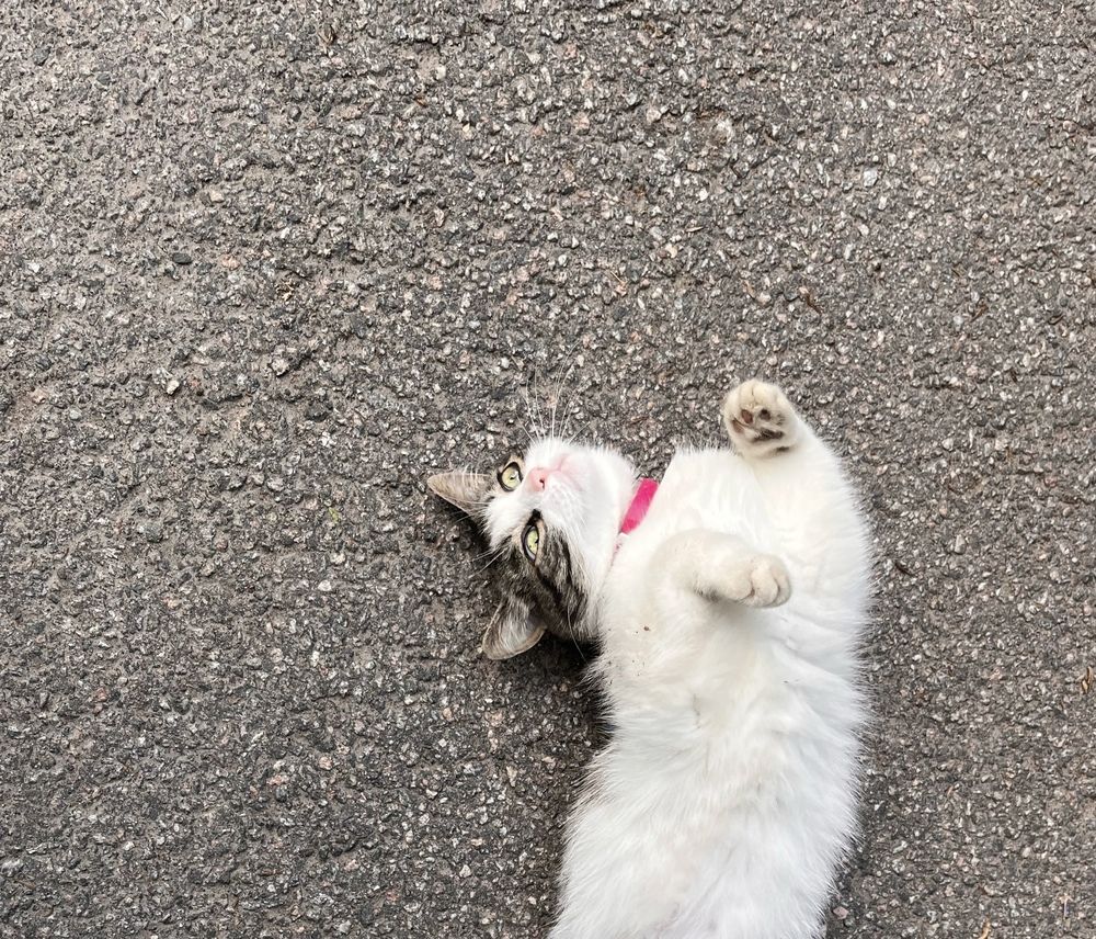 Photograph by Дмитрий Порядин