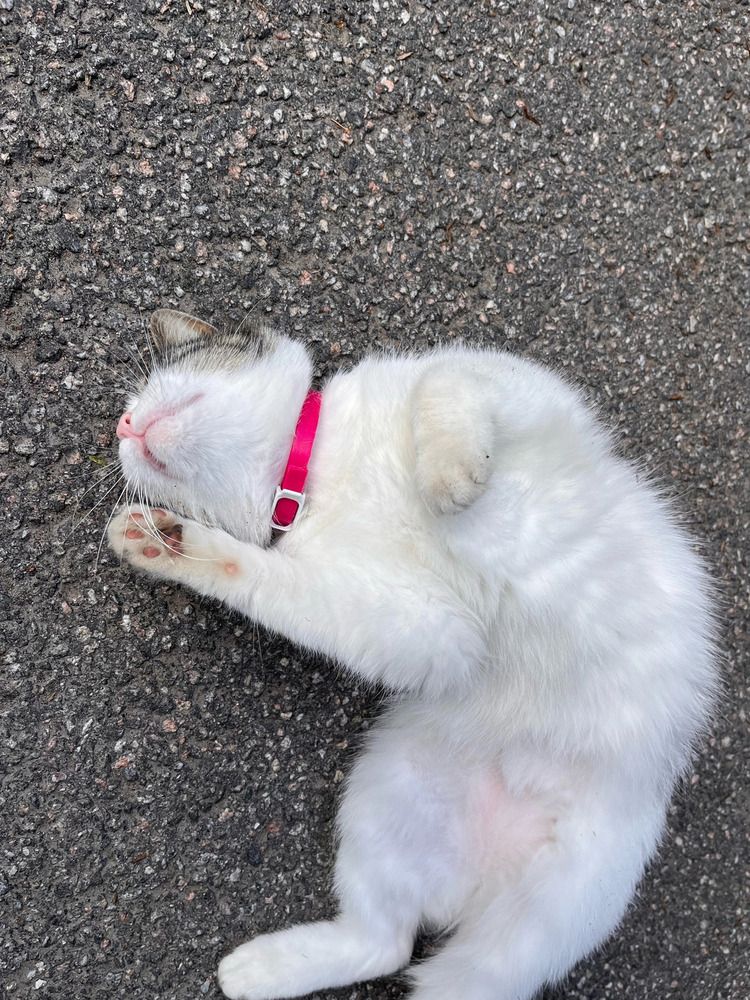 Photograph by Дмитрий Порядин