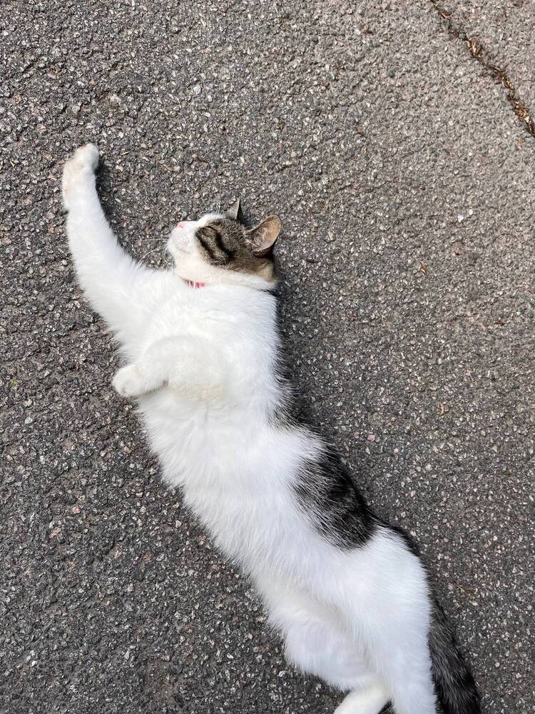 Photograph by Дмитрий Порядин