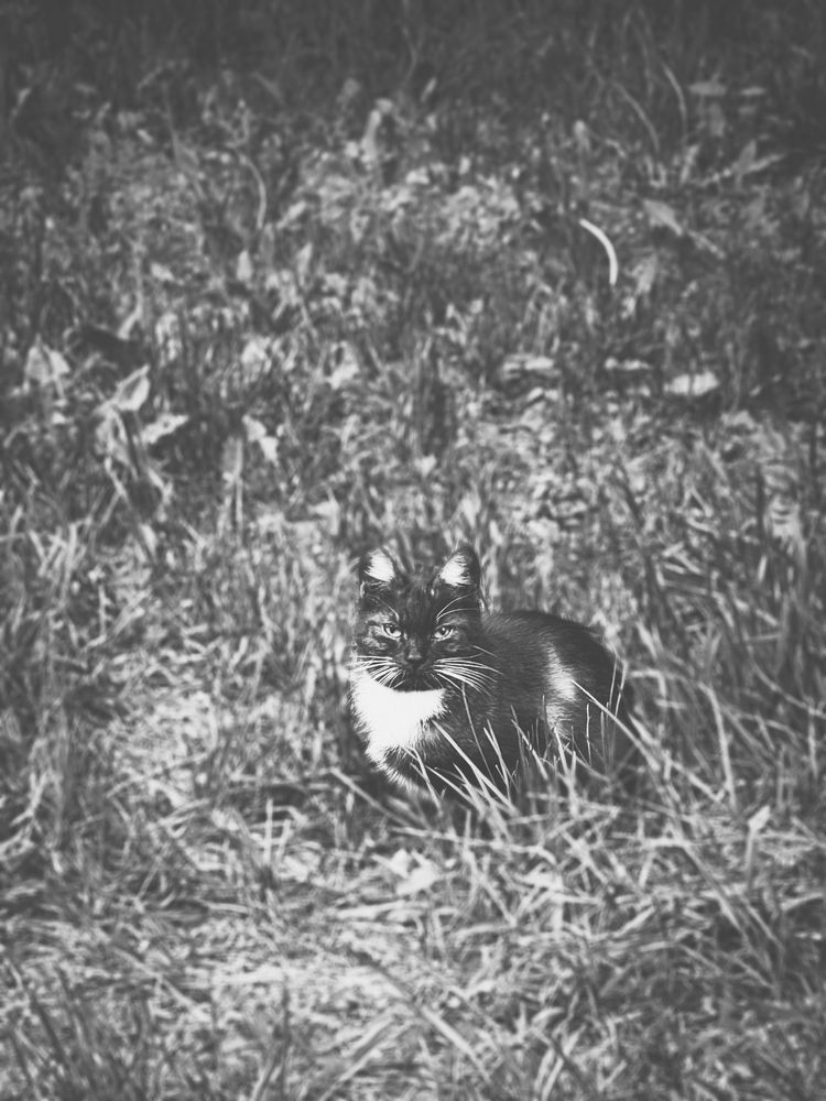 Photograph by Елена Чулюнина